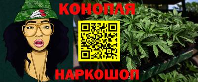 гидропоника Славгород