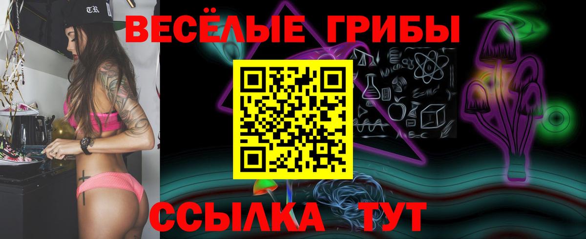 Можайск  Псилоцибиновые грибы Psilocybine cubensis  Вход с VPN 