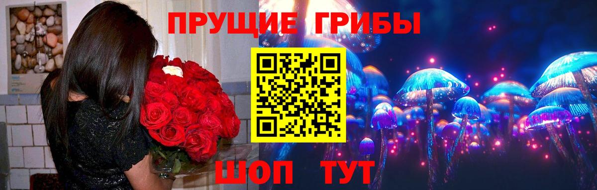 Галлюциногенные грибы GOLDEN TEACHER Можайск